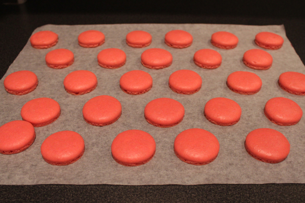 macarons framboise