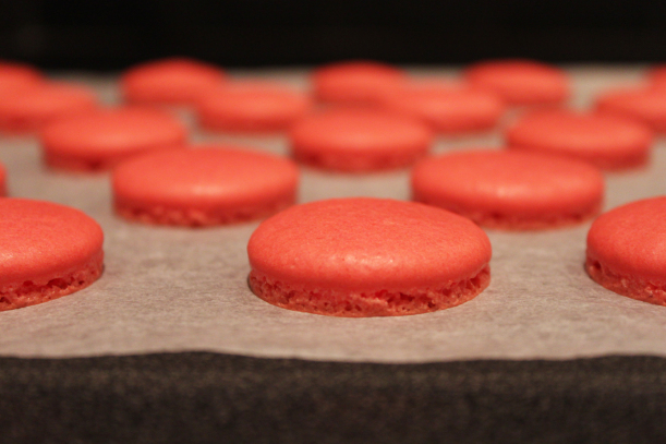 macarons framboise