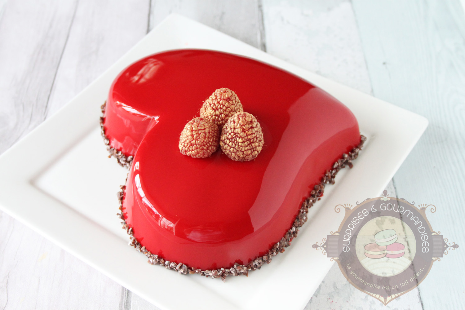 Entremets chocolat noir et framboise d'Imane - le meilleur pâtissier - Surprises et Gourmandises