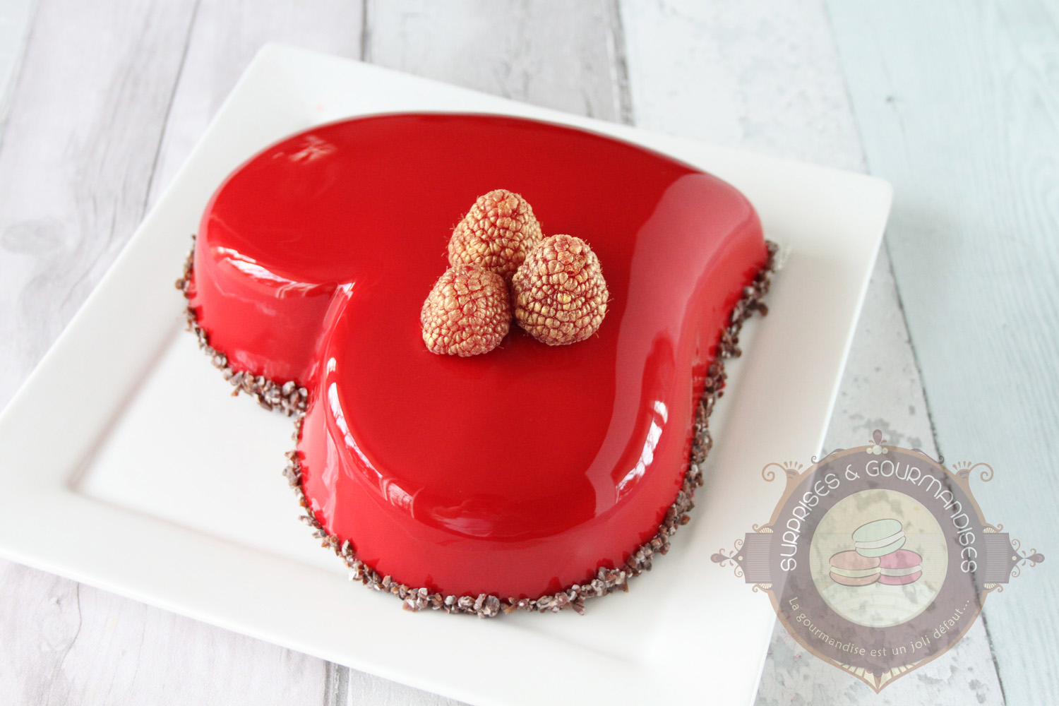 Entremets chocolat noir et framboise d'Imane - le meilleur pâtissier - Surprises et Gourmandises