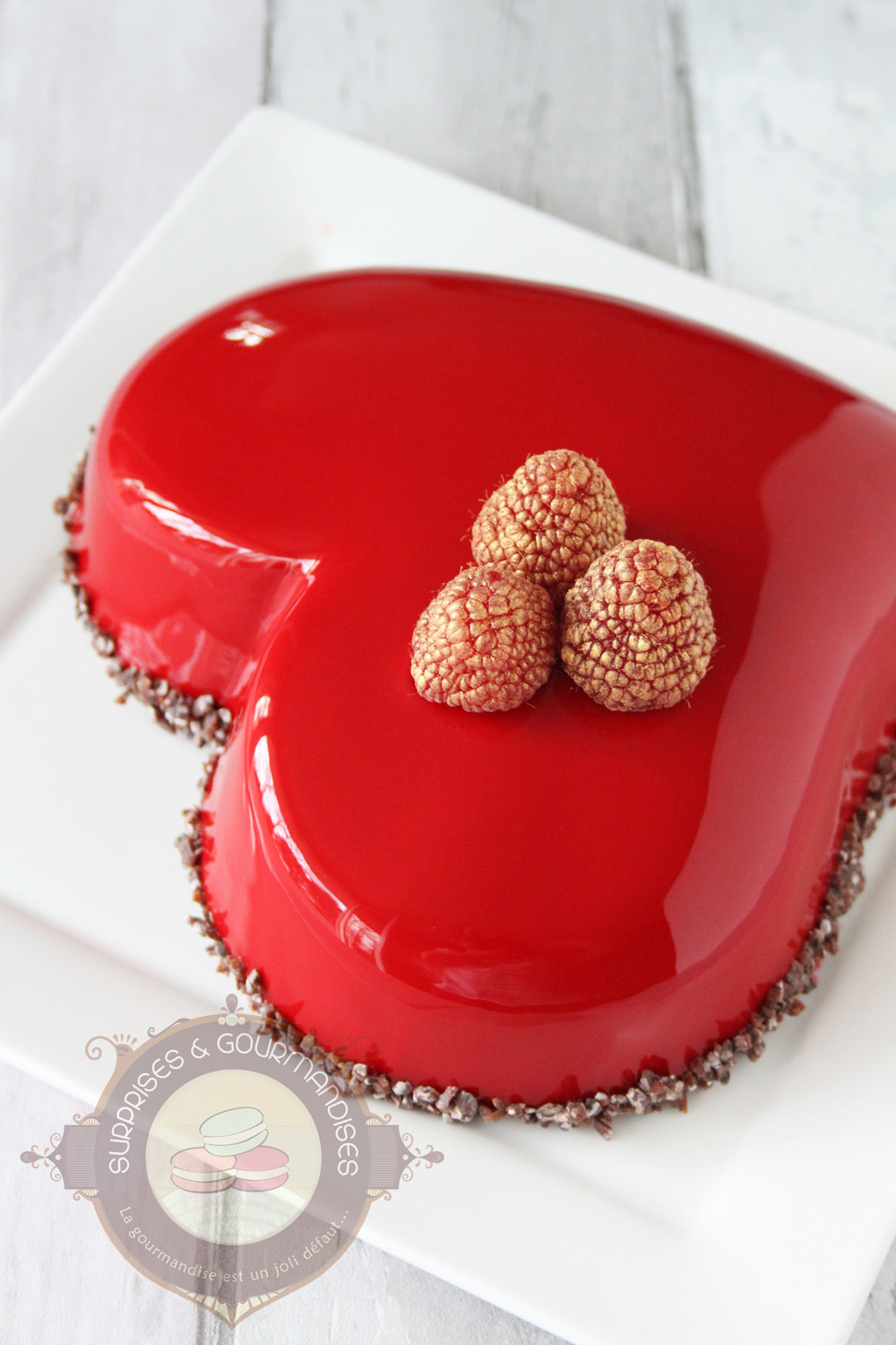 Entremets chocolat noir et framboise d'Imane - le meilleur pâtissier - Surprises et Gourmandises