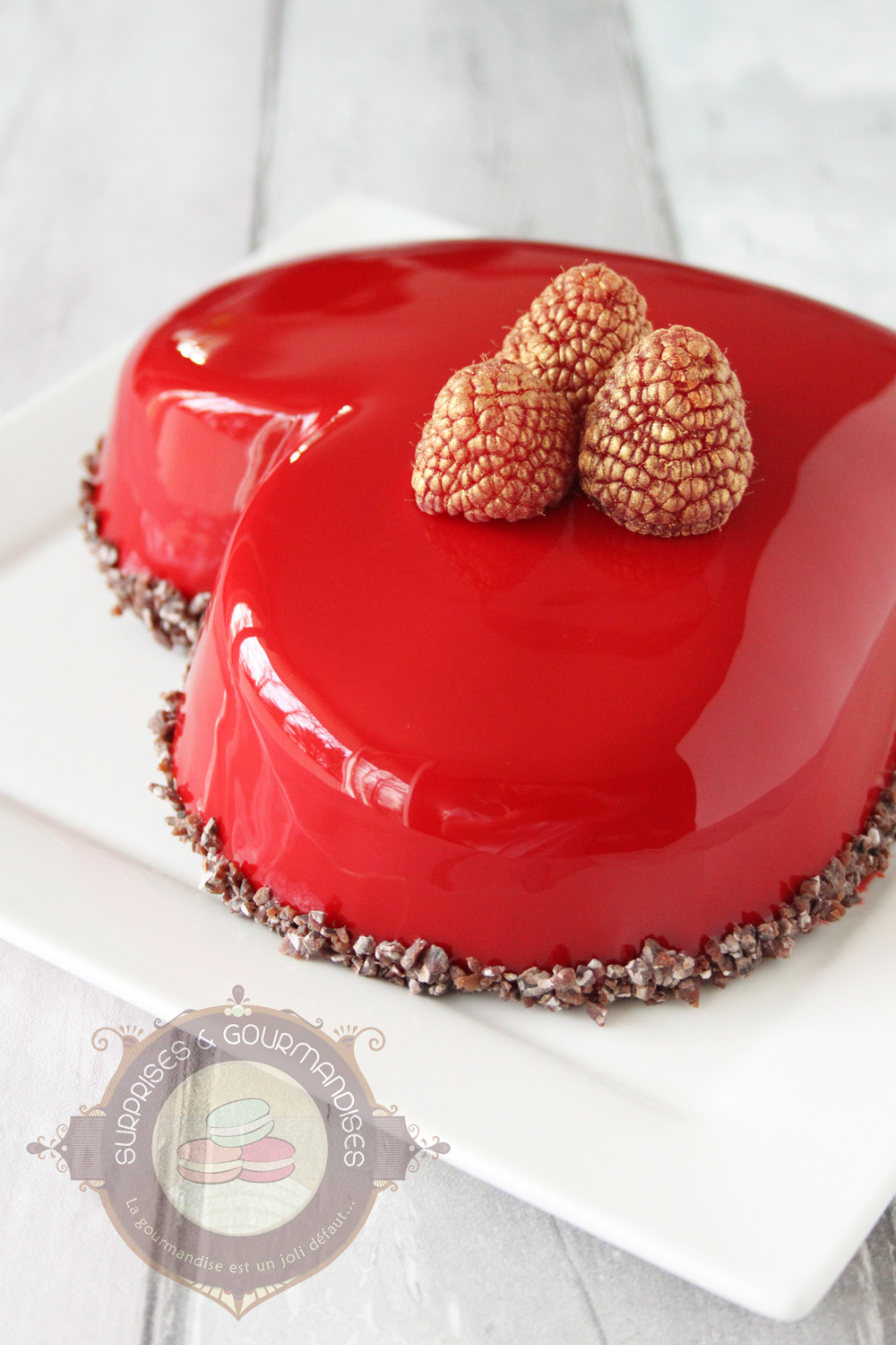 Entremets chocolat noir et framboise d'Imane - le meilleur pâtissier - Surprises et Gourmandises
