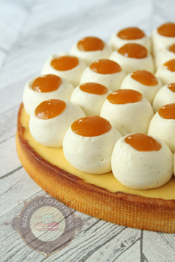 Le nid fruité mangue passion de Moulaye Fanny - Surprises et Gourmandises