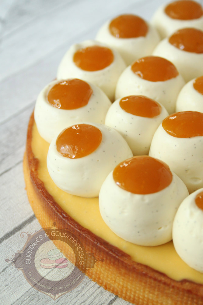 Le nid fruité mangue passion de Moulaye Fanny - Surprises et Gourmandises