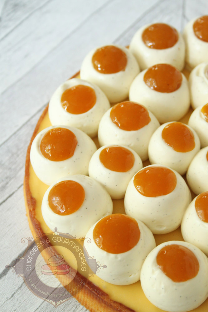 Le nid fruité mangue passion de Moulaye Fanny - Surprises et Gourmandises