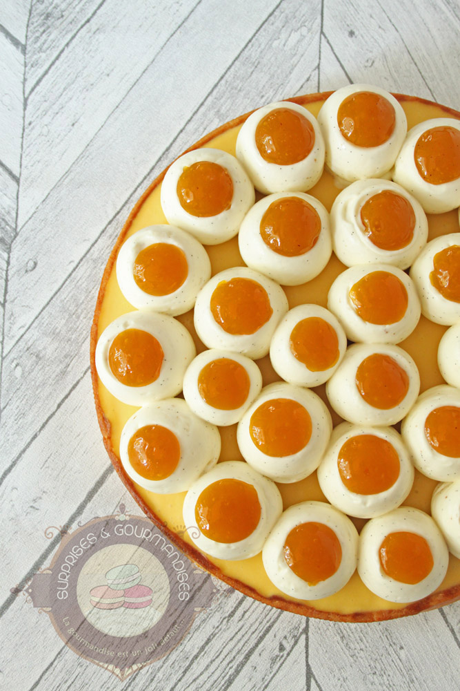 Le nid fruité mangue passion de Moulaye Fanny - Surprises et Gourmandises