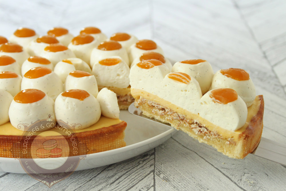 Le nid fruité mangue passion de Moulaye Fanny - Surprises et Gourmandises
