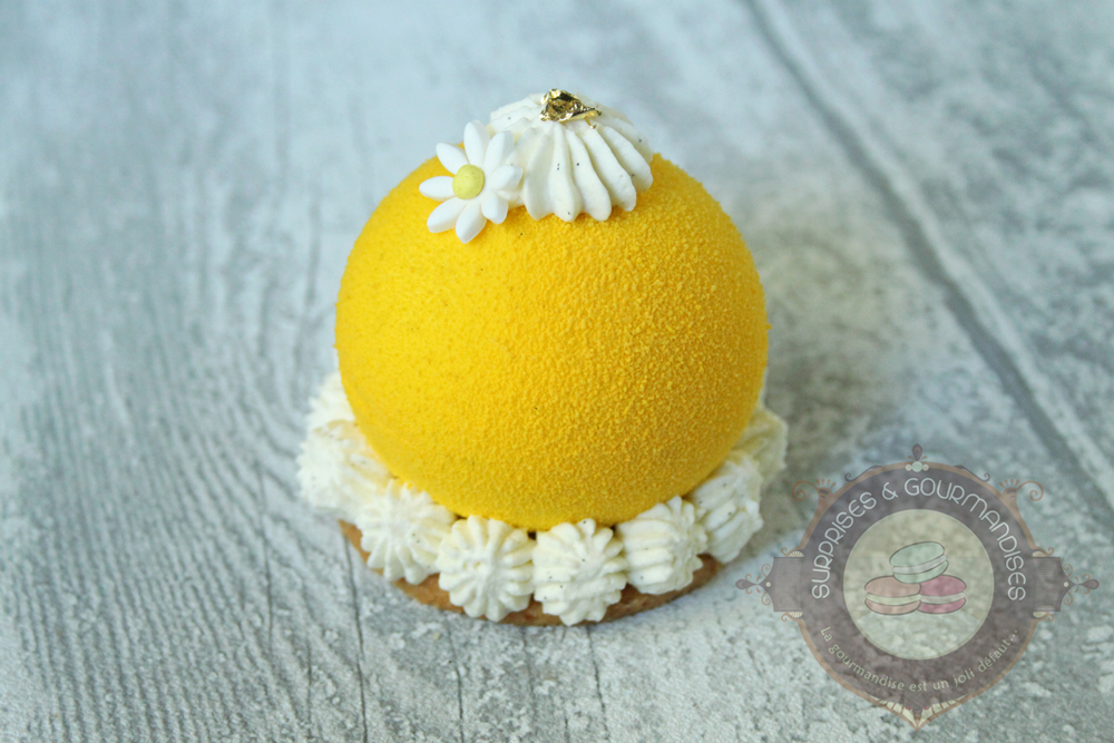 Entremets individuels exotiques - passionné'mangue - Surprises et Gourmandises