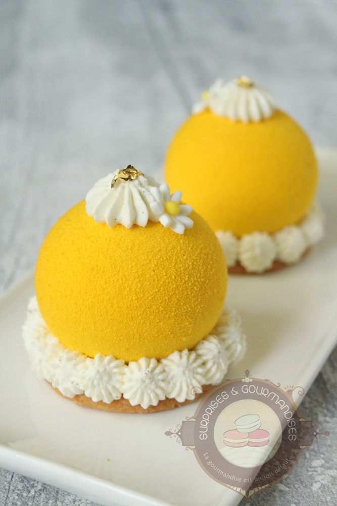 Entremets individuels exotiques - passionné'mangue - Surprises et Gourmandises