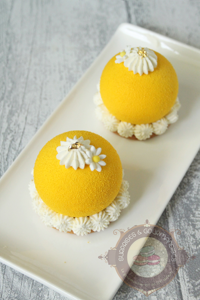 Entremets individuels exotiques - passionné'mangue - Surprises et Gourmandises