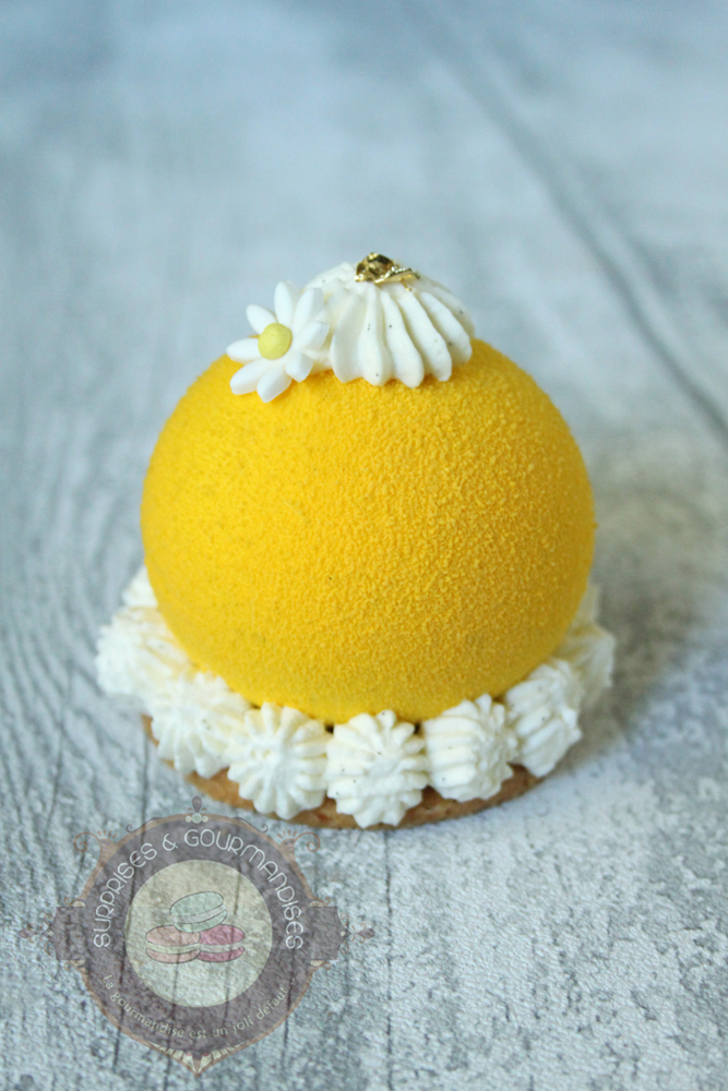 Entremets individuels exotiques - passionné'mangue - Surprises et Gourmandises