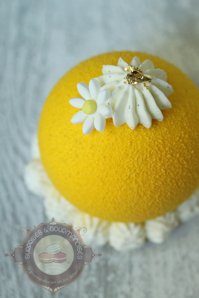 Entremets individuels exotiques - passionné'mangue - Surprises et Gourmandises