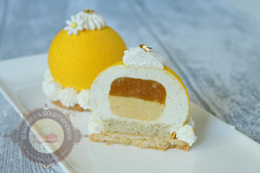 Entremets individuels exotiques - passionné'mangue - Surprises et Gourmandises