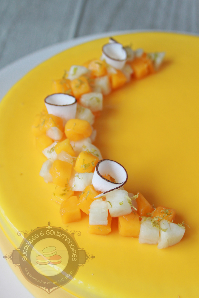 L'exotico'coco - entremets mangue, ananas et noix de coco - Surprises et Gourmandises