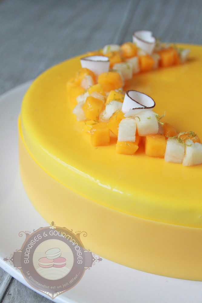 L'exotico'coco - entremets mangue, ananas et noix de coco - Surprises et Gourmandises