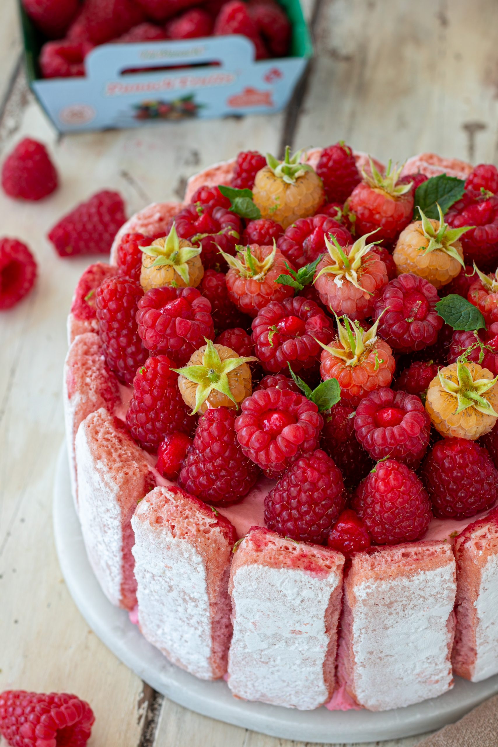 charlotte framboise