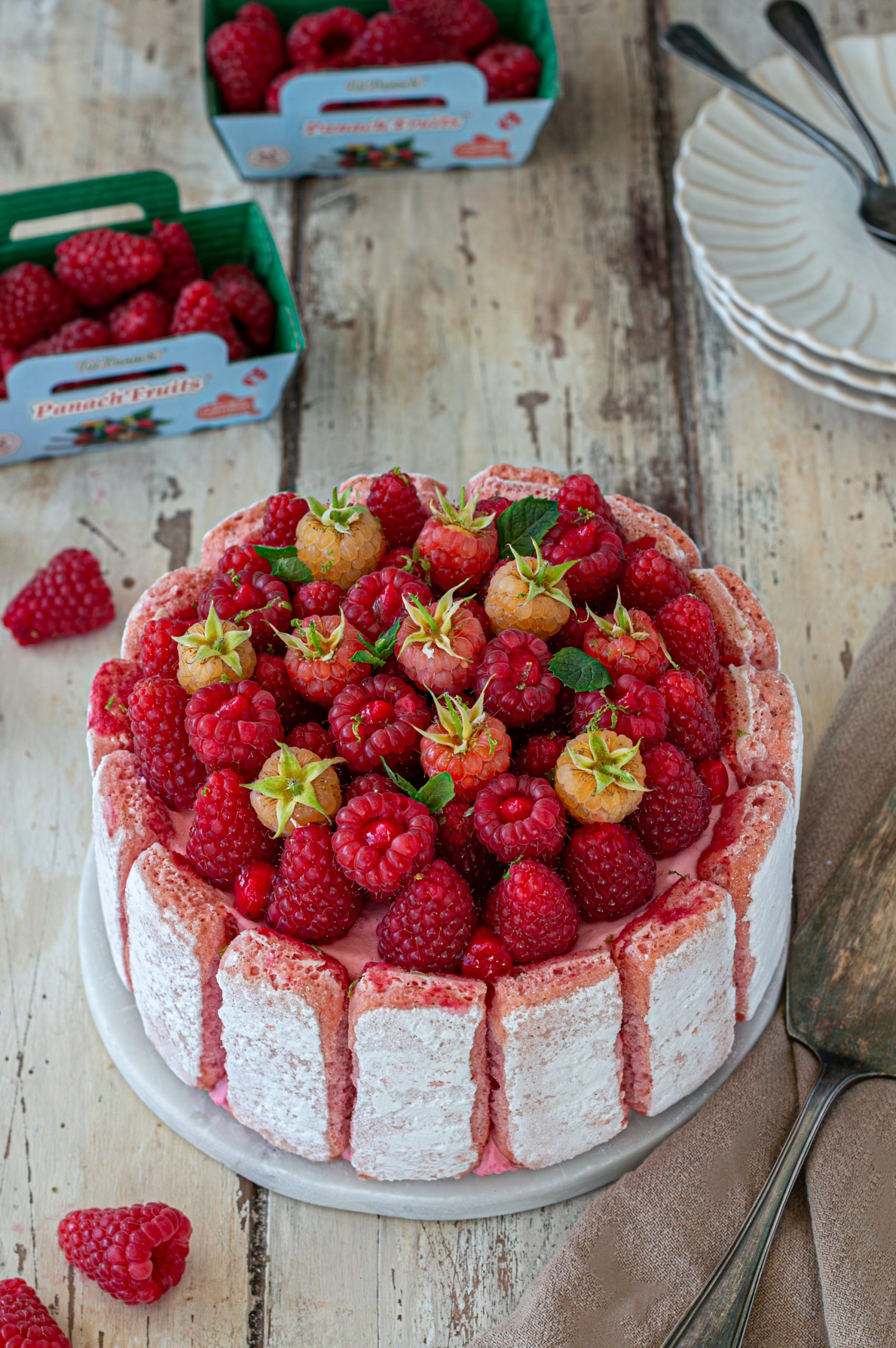 charlotte framboises